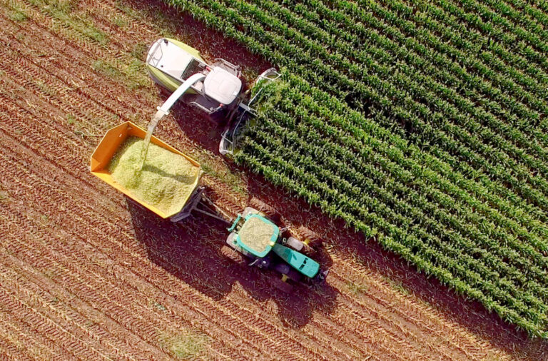 Tarifas dos EUA à China podem impulsionar agro brasileiro